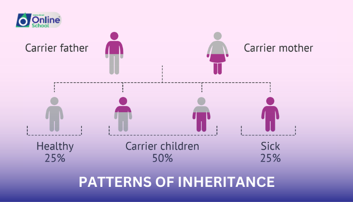 Lesson 06: Patterns of Inheritance